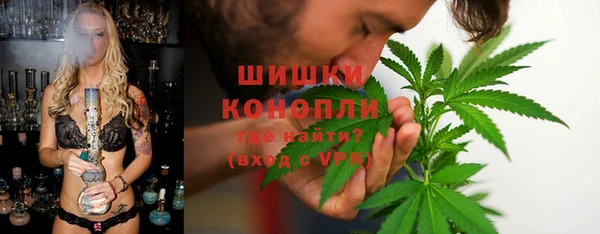 гидра Вяземский