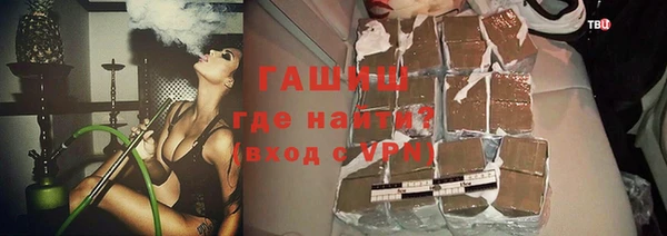 гидра Вяземский