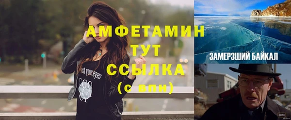 гидра Вяземский