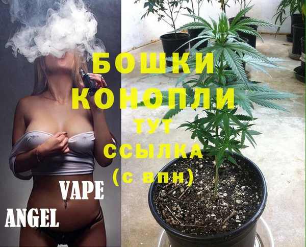 гидра Вяземский