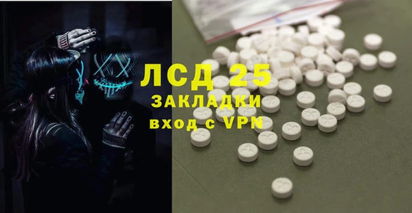 гидра Вяземский