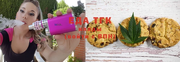 гидра Вяземский