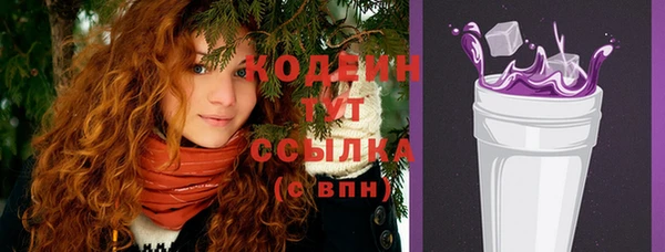 гидра Вяземский