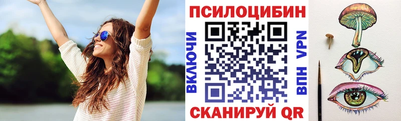 ссылка на мегу вход  купить наркоту  Облучье  Галлюциногенные грибы мицелий 
