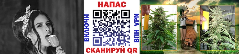 гидра онион  продажа наркотиков  Облучье  Каннабис VHQ 